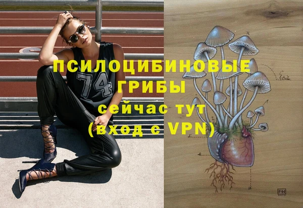 альфа пвп Ладушкин