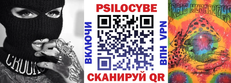 Купить закладки Далматово Псилоцибиновые грибы Psilocybe