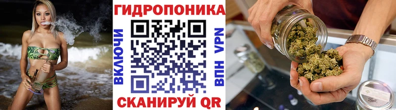 Купить  Далматово  МАРИХУАНА Ganja 